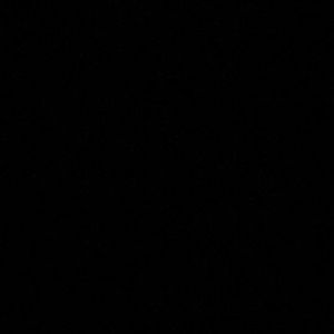 Meet your Posher, Audrey